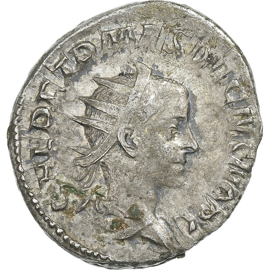 Herenio Etrusco, 
  
  Antoniniano, 
  
  250-251
