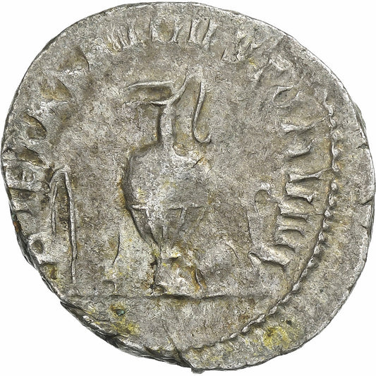 Herenio Etrusco, 
  
  Antoniniano, 
  
  250-251