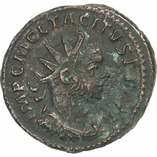 Tácito, 
  
  Antoniniano, 
  
  276