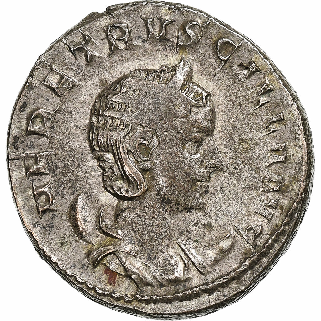Herennia Etruscila, 
  
  Antoniniano, 
  
  249-251