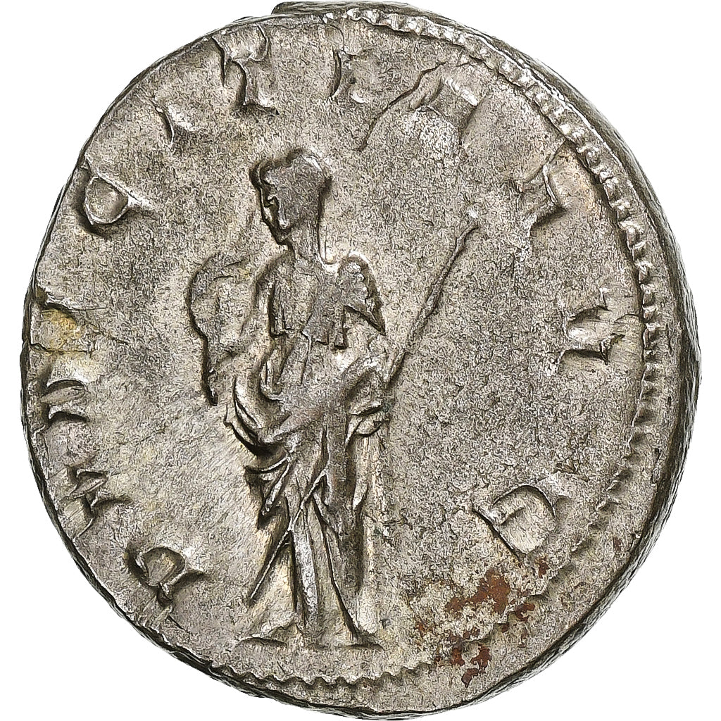 Herennia Etruscila, 
  
  Antoniniano, 
  
  249-251