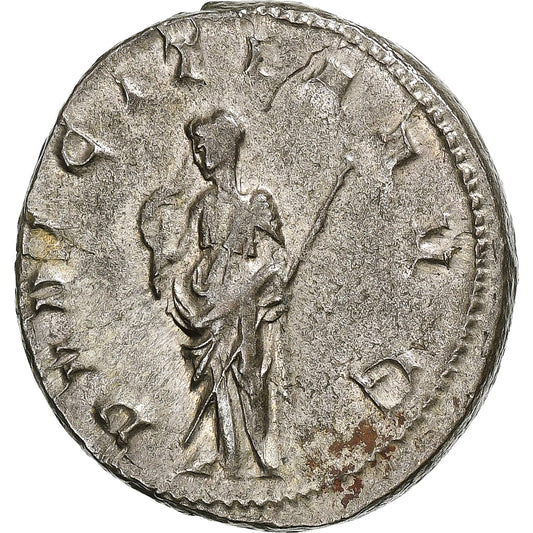 Herennia Etruscila, 
  
  Antoniniano, 
  
  249-251