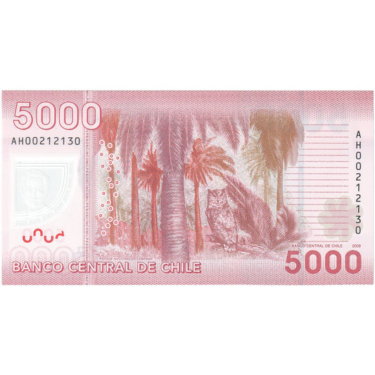 Chile, 
  
  5000 pesos, 
  
  2009