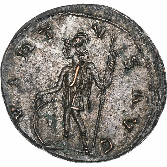 Tácito, 
  
  Antoniniano, 
  
  275