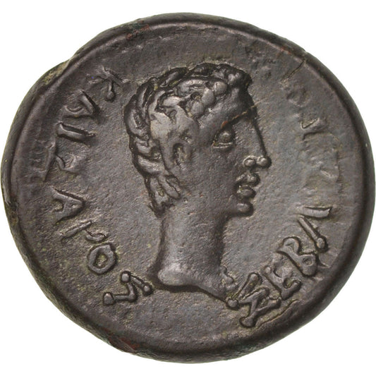 Moneda,

Augusto,

Media Unidad