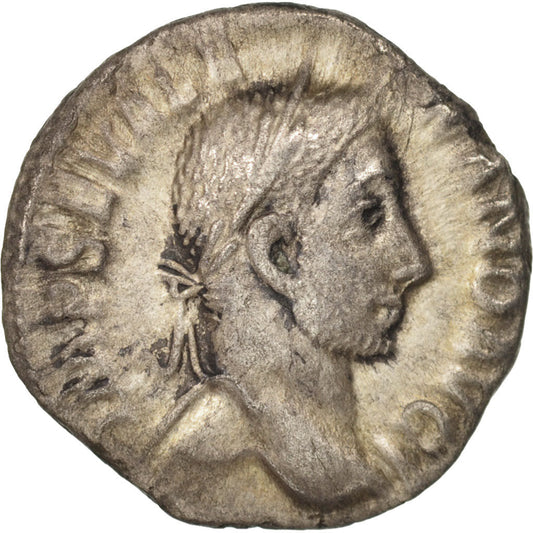 Acuñar, 
  
  Severo Alejandro, 
  
  Denario