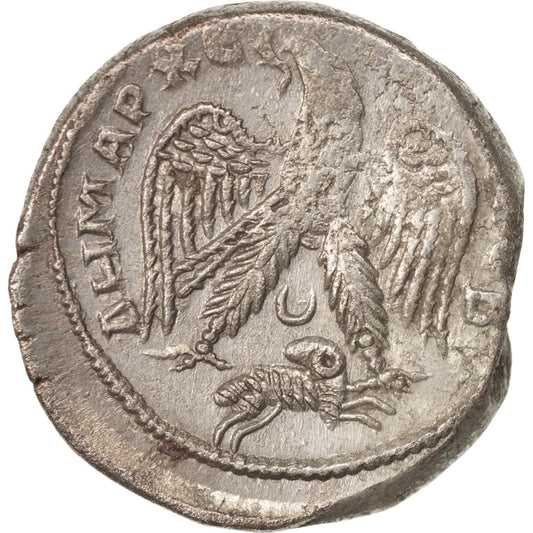 Moneda,

Gordiano III,

Tetradracma