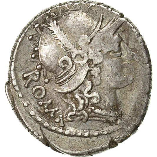 Acuñar, 
  
  Carisia, 
  
  Denario