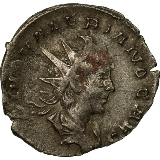 Moneda,

Valeriano II,

Antoniniano