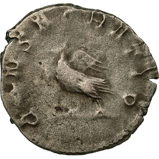 Moneda,

Valeriano II,

Antoniniano