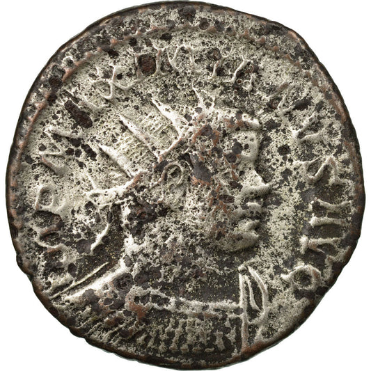 Acuñar, 
  
  Maximiano, 
  
  Aureliano