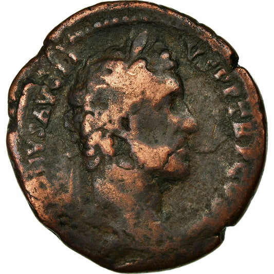 Moneda,

Antonino Pío,

Como
