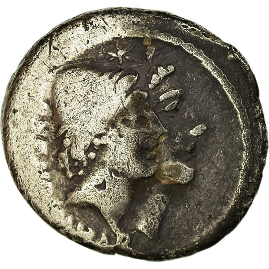 Acuñar, 
  
  Cordia, 
  
  Denario