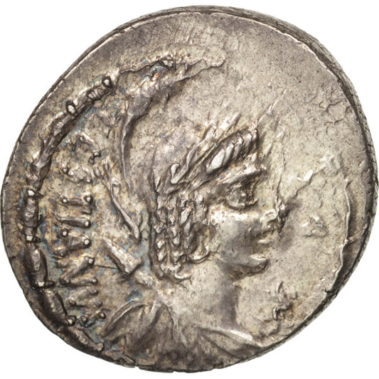 Acuñar, 
  
  Plaetoria, 
  
  Denario