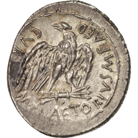 Acuñar, 
  
  Plaetoria, 
  
  Denario