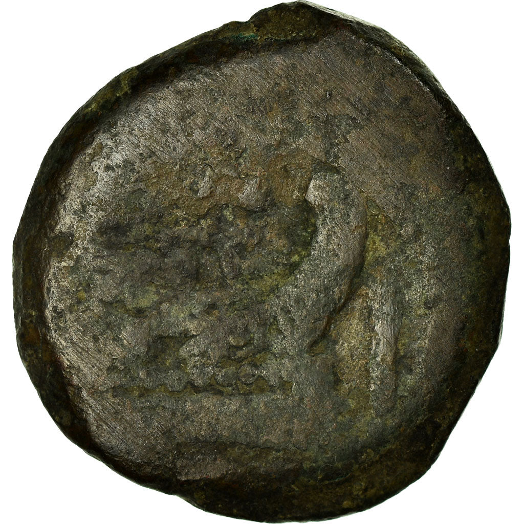 Moneda,

Anónimo,

Como