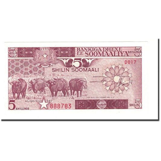 billete de banco, 
  
  Somalia, 
  
  5 chelines = 5 chelines