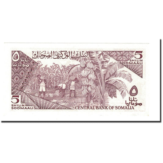 billete de banco, 
  
  Somalia, 
  
  5 chelines = 5 chelines