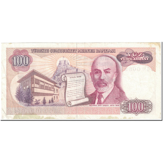 Billete de 100 liras turcas
