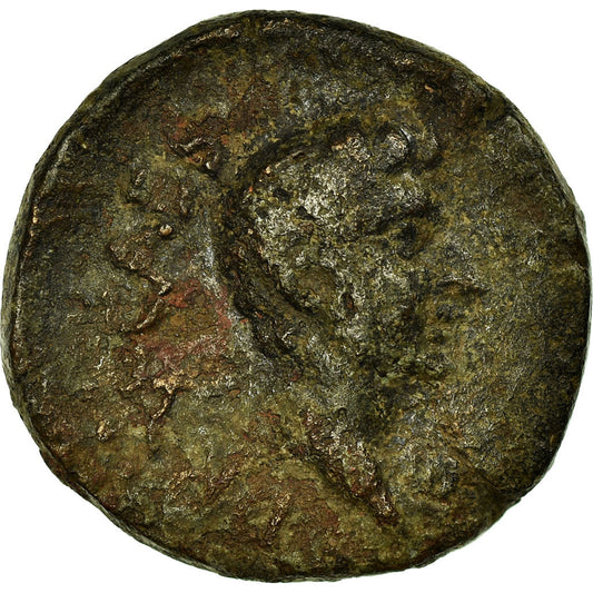 Acuñar, 
  
  Druso, 
  
  Bronce Æ