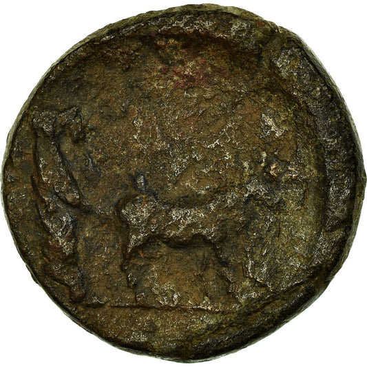 Acuñar, 
  
  Druso, 
  
  Bronce Æ