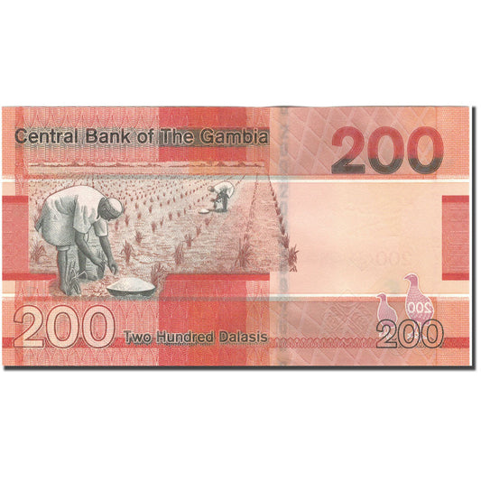 billete de banco, 
  
  Gambia, 
  
  200 Dalasis