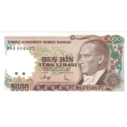 Billete de 5000 liras turcas
