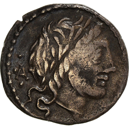 Acuñar, 
  
  sabina, 
  
  quinario