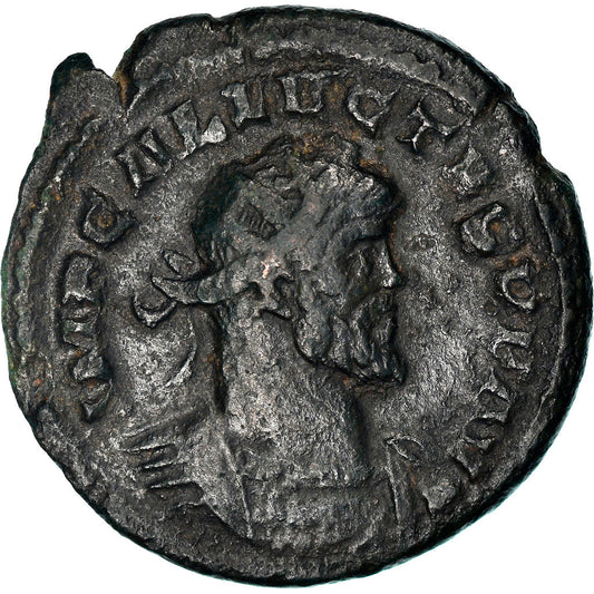 Acuñar, 
  
  Alecto, 
  
  Aureliano