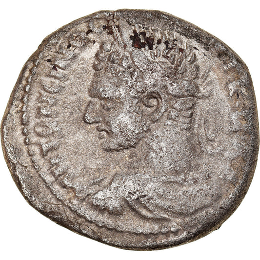 Acuñar, 
  
  Seleucis y Pieria, 
  
  Caracalla