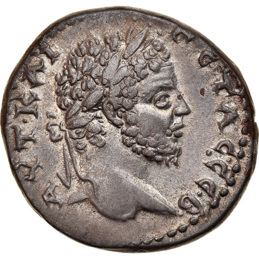 Moneda,

Seleucis y Pieria,

Geta