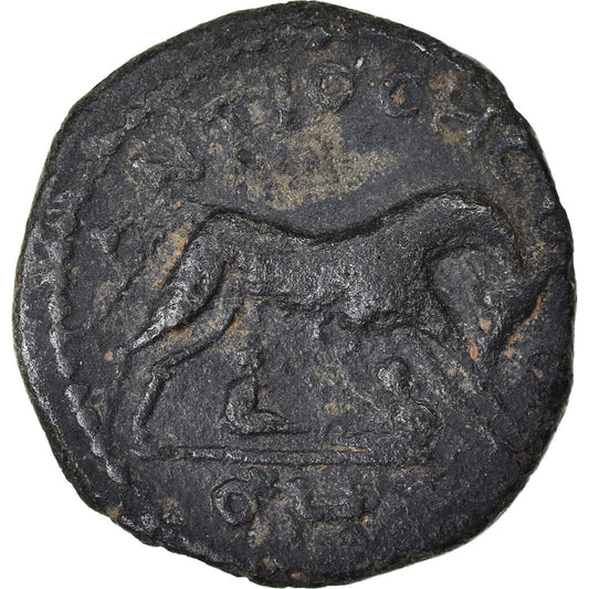Acuñar, 
  
  Pisidia, 
  
  Severo Alejandro