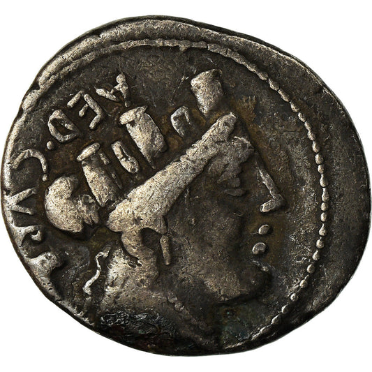 Acuñar, 
  
  furia, 
  
  Denario