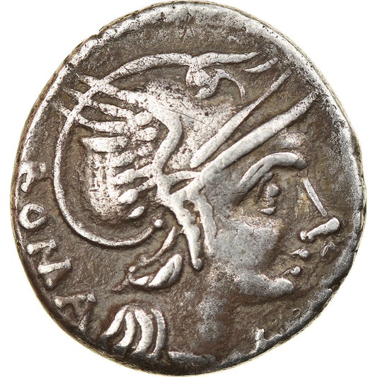 Acuñar, 
  
  Flaminia, 
  
  Denario
