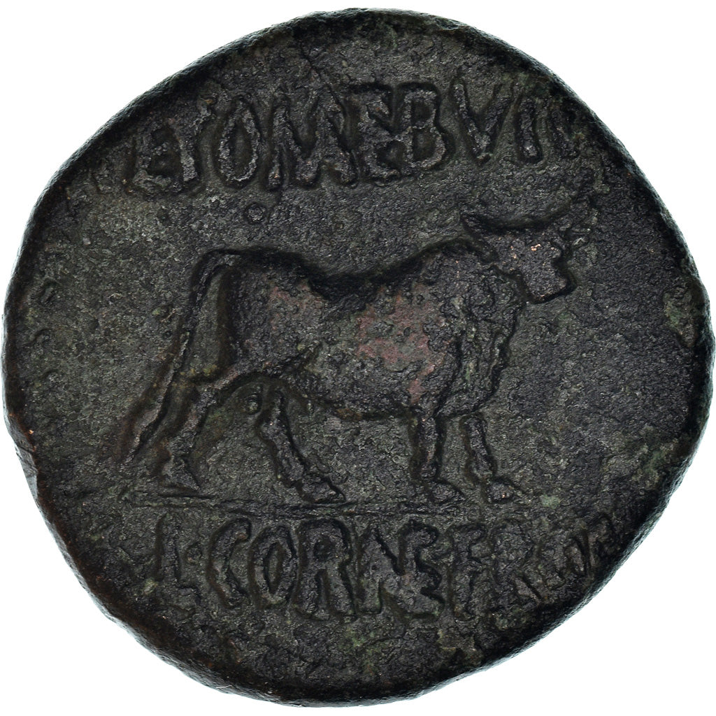 Moneda,

Celtíberos de España (siglo I a. C.),

Como