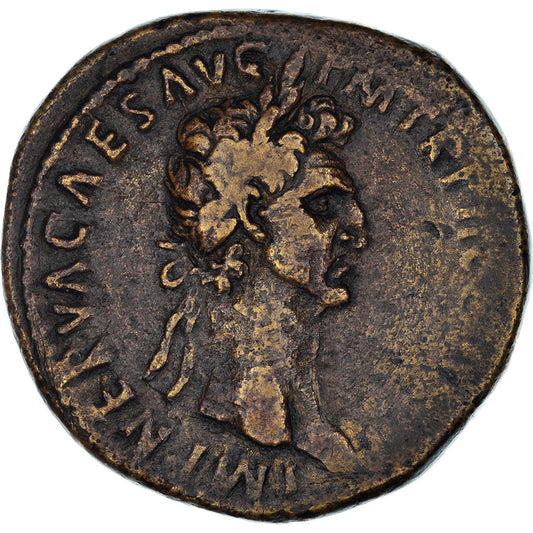 Acuñar, 
  
  nervio, 
  
  Sestercio