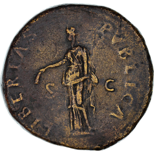 Acuñar, 
  
  nervio, 
  
  Sestercio