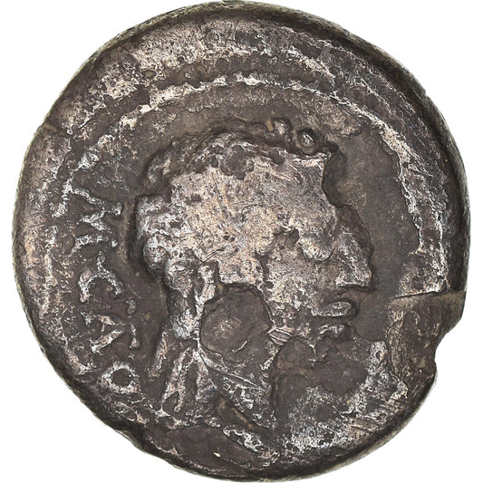 Acuñar, 
  
  Porcia, 
  
  quinario