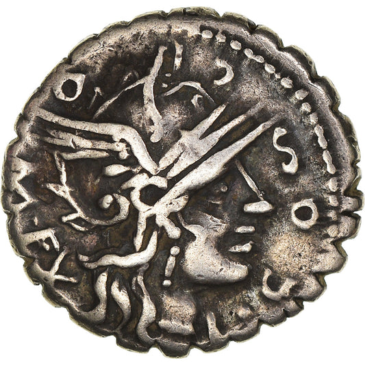 Acuñar, 
  
  cosconia, 
  
  Denario Serrato